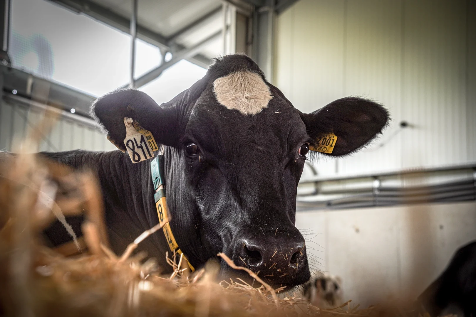 Eine Wissenschaftlerin und ein Wissenschaftler arbeiten hinter einer Glasfassade und mischen Chemikalien mit Großgeräten.