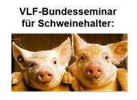 VLF.png